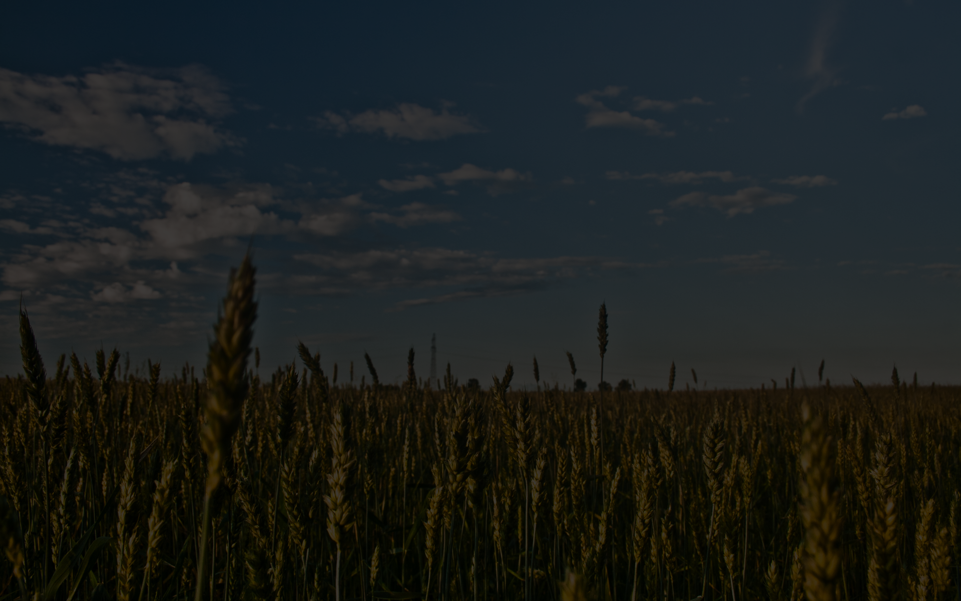 hero-banner